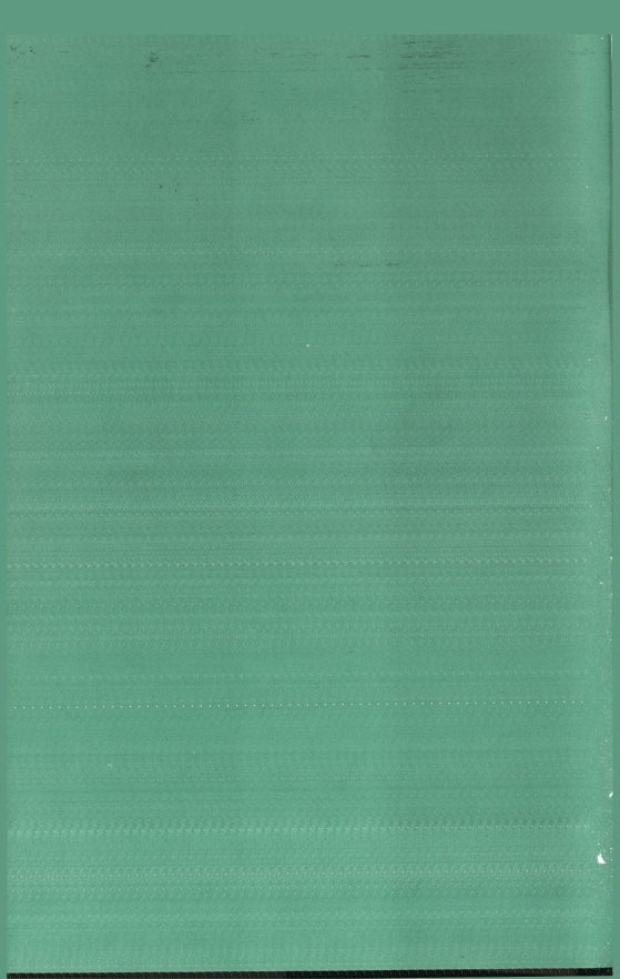 «Төрийн мэдээлэл» № 45, файлын 413-р хуудас