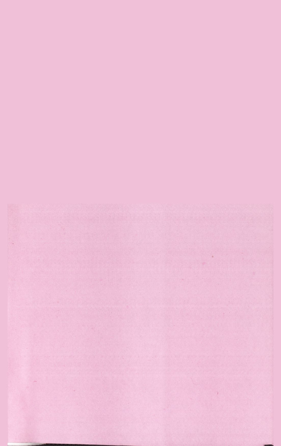 «Төрийн мэдээлэл» № 43, файлын 32-р хуудас