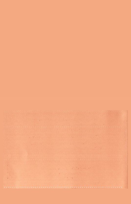 «Төрийн мэдээлэл» № 27, файлын 21-р хуудас