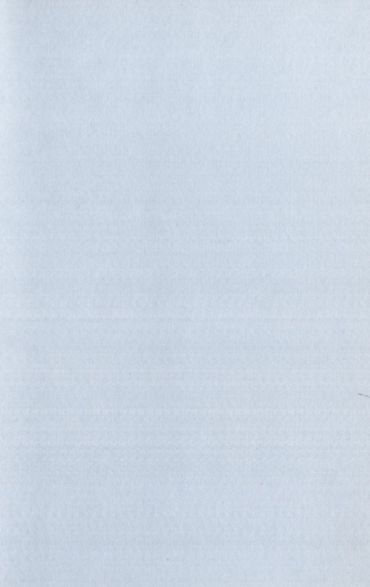«Төрийн мэдээлэл» № 10, файлын 91-р хуудас
